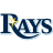 Rays icon